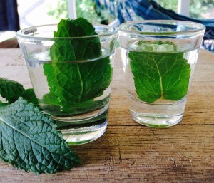 peppermint aromatic water for diy beauty recipes
