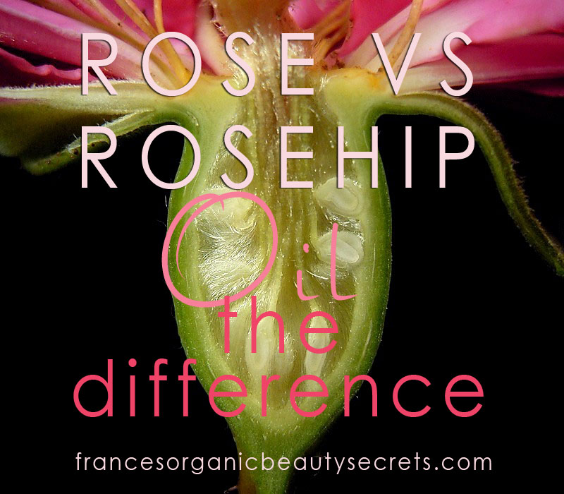 Rose versus rosehip the difference
