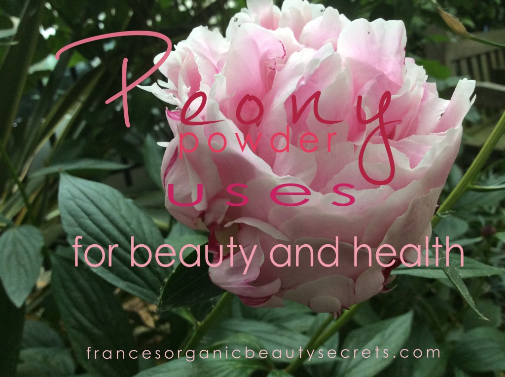 Peony Benefits in Medicine and Cosmetic